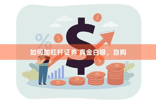 如何加杠杆证券 真金白银，自购