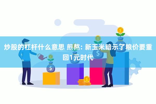 炒股的杠杆什么意思 煎熬: 新玉米暗示了粮价要重回1元时代