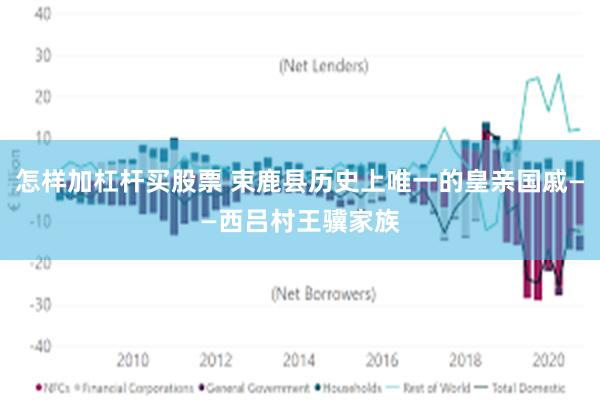 怎样加杠杆买股票 束鹿县历史上唯一的皇亲国戚——西吕村王骥家族