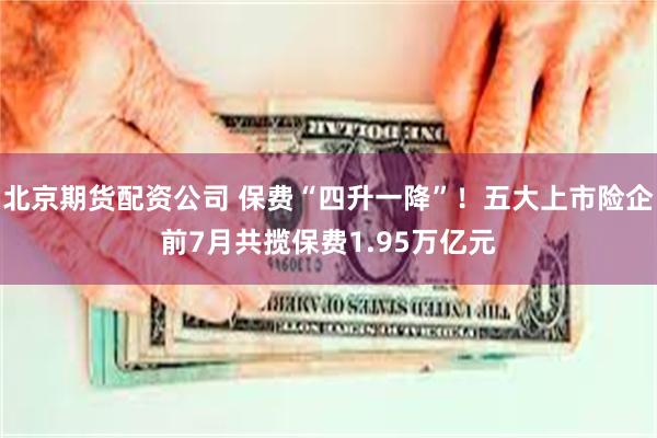 北京期货配资公司 保费“四升一降”！五大上市险企前7月共揽保费1.95万亿元