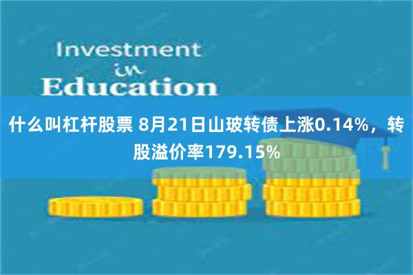 什么叫杠杆股票 8月21日山玻转债上涨0.14%，转股溢价率179.15%