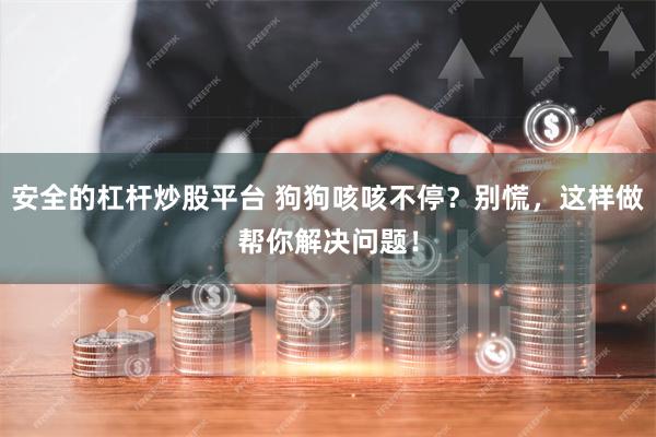 安全的杠杆炒股平台 狗狗咳咳不停？别慌，这样做帮你解决问题！