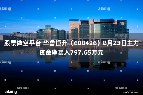 股票做空平台 华鲁恒升（600426）8月23日主力资金净买入797.65万元