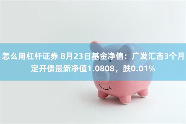 怎么用杠杆证券 8月23日基金净值：广发汇吉3个月定开债最新净值1.0808，跌0.01%