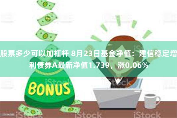 股票多少可以加杠杆 8月23日基金净值：建信稳定增利债券A最新净值1.739，涨0.06%