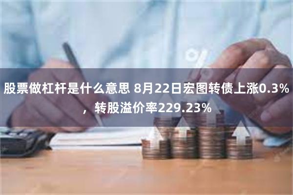 股票做杠杆是什么意思 8月22日宏图转债上涨0.3%，转股溢价率229.23%