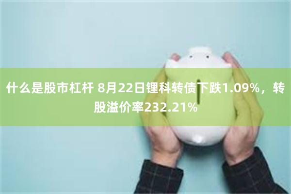 什么是股市杠杆 8月22日锂科转债下跌1.09%，转股溢价率232.21%