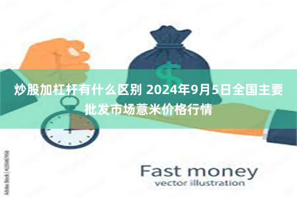 炒股加杠杆有什么区别 2024年9月5日全国主要批发市场薏米价格行情