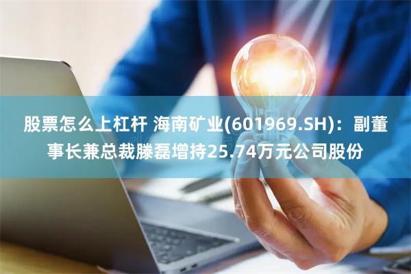 股票怎么上杠杆 海南矿业(601969.SH)：副董事长兼总裁滕磊增持25.74万元公司股份