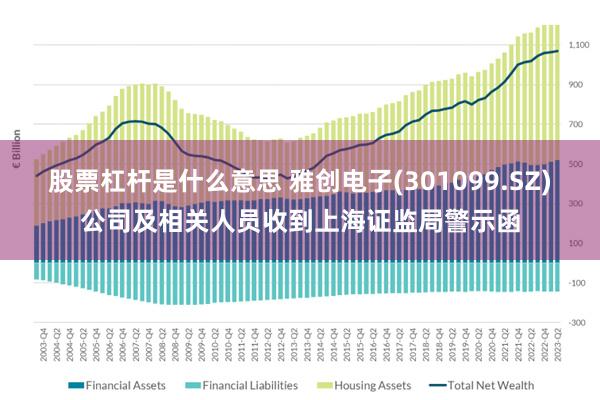 股票杠杆是什么意思 雅创电子(301099.SZ)公司及相关人员收到上海证监局警示函