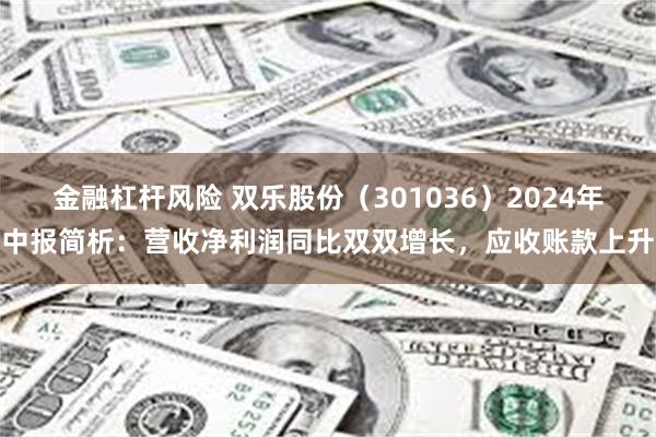 金融杠杆风险 双乐股份（301036）2024年中报简析：营收净利润同比双双增长，应收账款上升