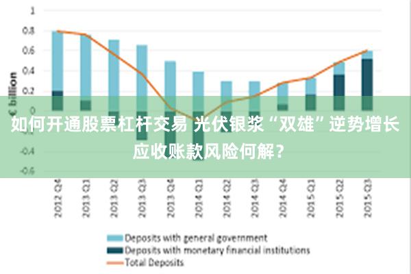 如何开通股票杠杆交易 光伏银浆“双雄”逆势增长 应收账款风险何解？