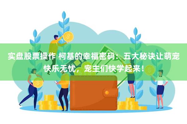 实盘股票操作 柯基的幸福密码：五大秘诀让萌宠快乐无忧，宠主们快学起来！