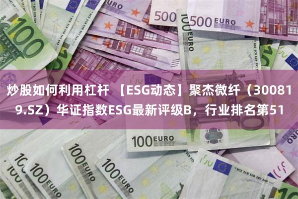 炒股如何利用杠杆 【ESG动态】聚杰微纤（300819.SZ）华证指数ESG最新评级B，行业排名第51