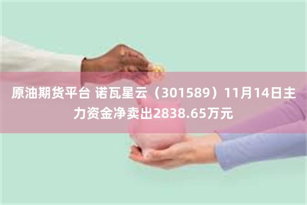 原油期货平台 诺瓦星云（301589）11月14日主力资金净卖出2838.65万元