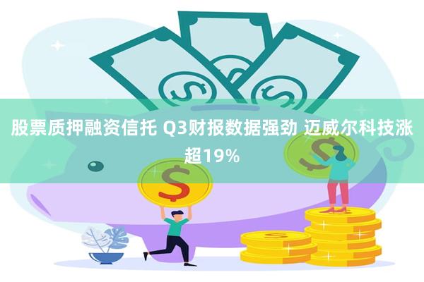 股票质押融资信托 Q3财报数据强劲 迈威尔科技涨超19%