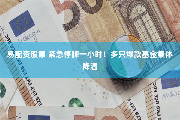 易配资股票 紧急停牌一小时！多只爆款基金集体降温