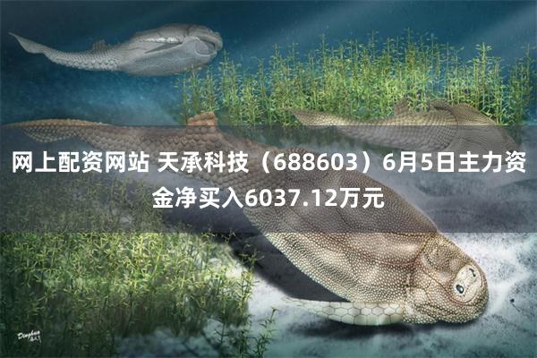 网上配资网站 天承科技（688603）6月5日主力资金净买入6037.12万元