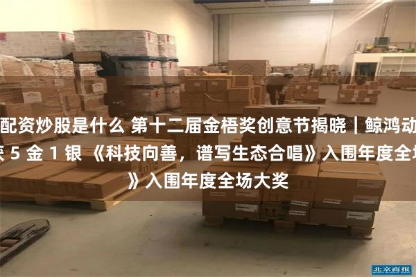 配资炒股是什么 第十二届金梧奖创意节揭晓｜鲸鸿动能斩获 5 金 1 银 《科技向善，谱写生态合唱》入围年度全场大奖